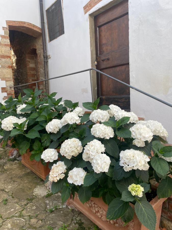 فندق Gavene Villamagna  المظهر الخارجي الصورة